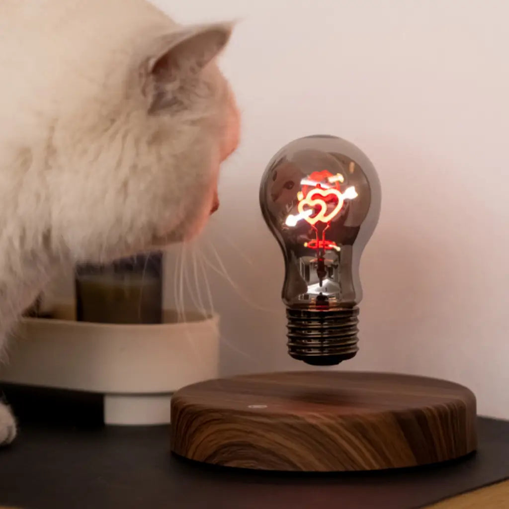 Floating Cupid heart filament bulb lamp beside cat and home décor